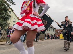 Faschingszug Diesenbach 2025_55